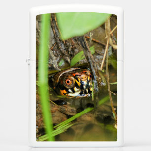 Box Turtle and Tadpoles Zippo Lighter