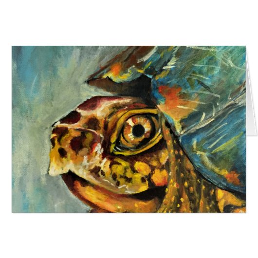 box turtle cards (Front Horizontal)