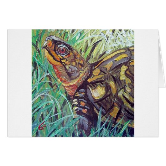 Box Turtle Cards (Front Horizontal)