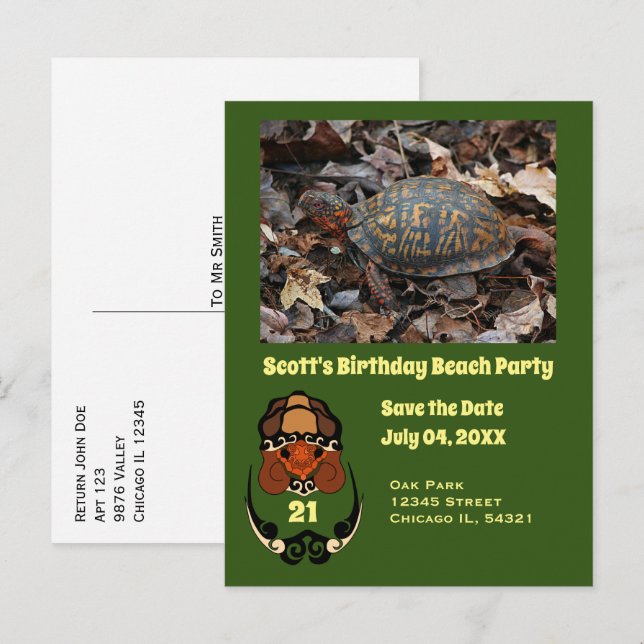 Box Turtle Cartoon Birthday Party Photo Invitation Postcard (Front/Back)