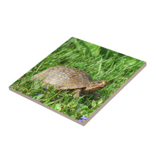 Box Turtle Ceramic Tile