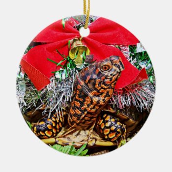 Box Turtle Christmas Ornament by WackemArt at Zazzle