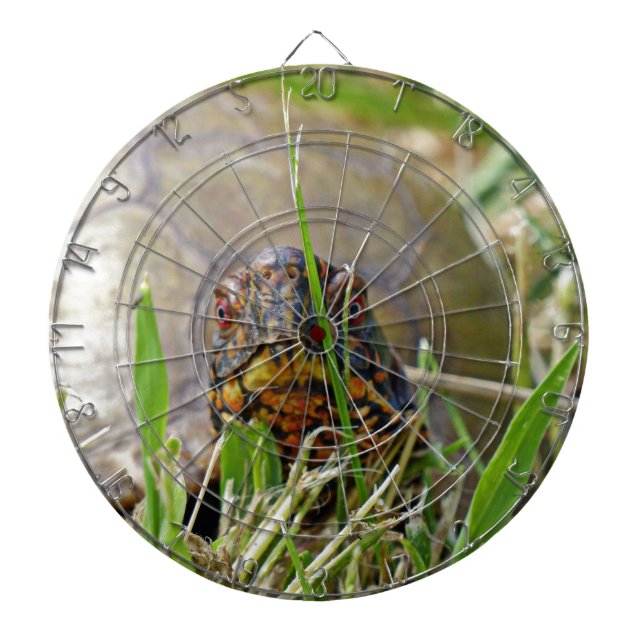 Box Turtle Dartboard (Front)