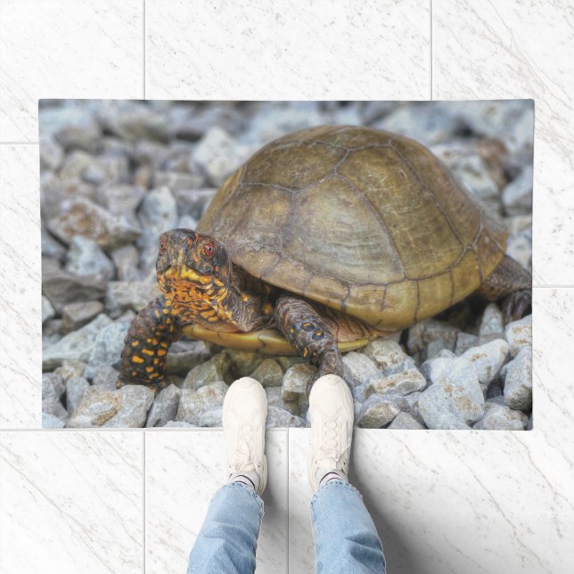 Box Turtle  Doormat (Indoor)