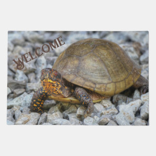 Box Turtle Doormat