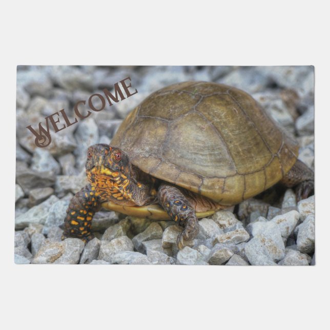 Box Turtle  Doormat (Front)
