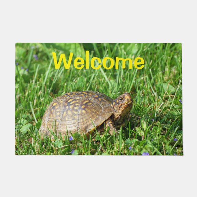 Box Turtle Doormat (Front)