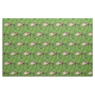 Box Turtle Fabric
