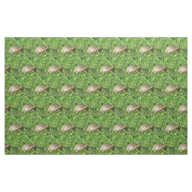 Box Turtle Fabric (Fat Quarter)