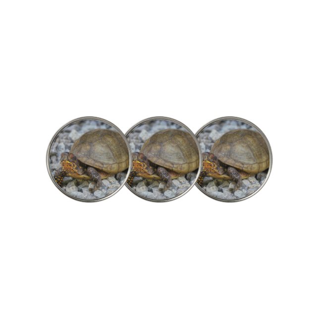 Box Turtle  Golf Ball Marker (3 Up)