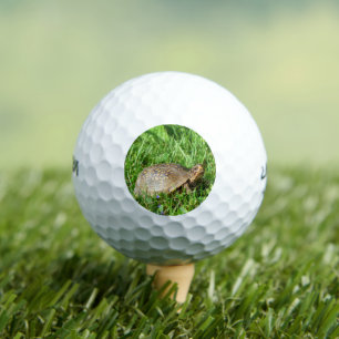 Box Turtle Golf Balls