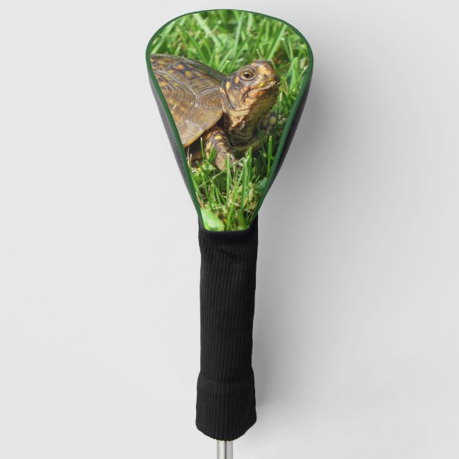 Box Turtle Golf Head Cover (Front)