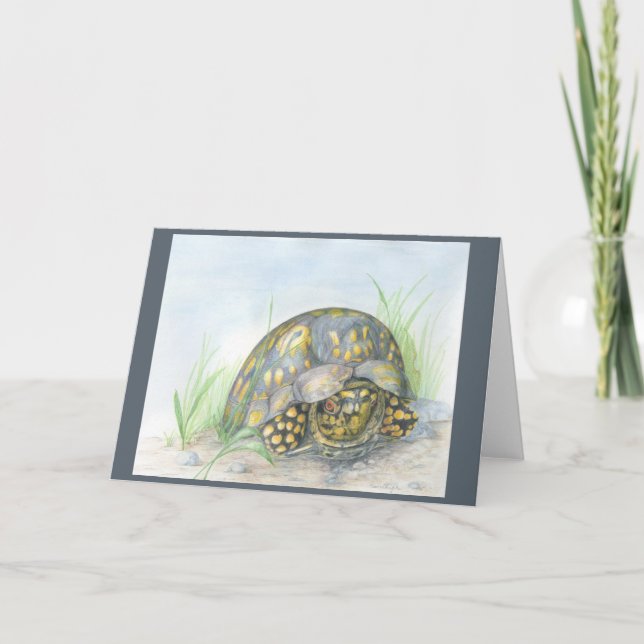 Box Turtle Greeting card. Blank inside. Card (Front)