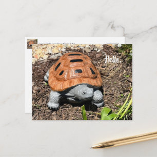 Box Turtle, Hello or your text, Custom Postcards
