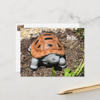 Box Turtle, Hello or your text, Custom Postcards