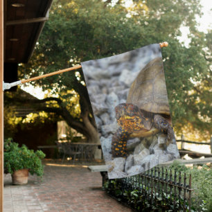 Box Turtle House Flag