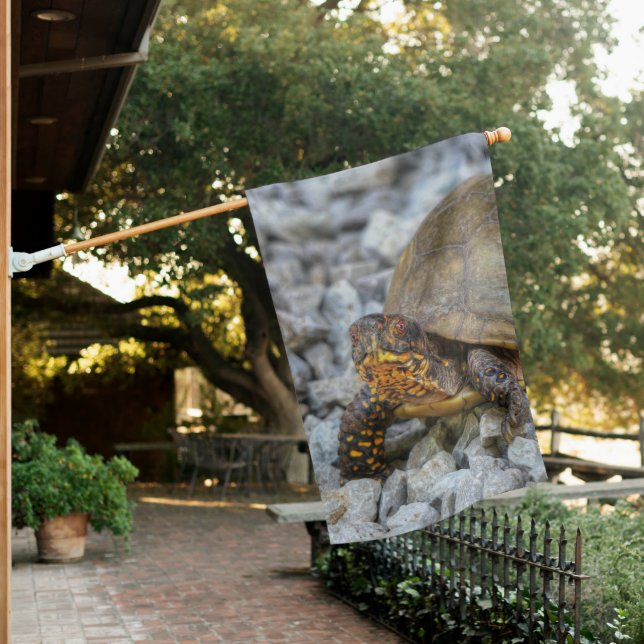 Box Turtle  House Flag (In SItu)