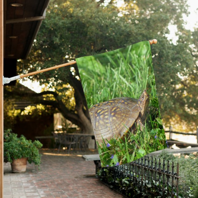 Box Turtle  House Flag (In SItu)