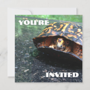 Box Turtle Invitation