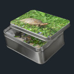 Box Turtle  Jigsaw Puzzle<br><div class="desc">A Box Turtle in my yard amongst the wild violets.</div>