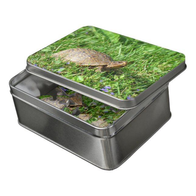 Box Turtle  Jigsaw Puzzle (Lid Open)