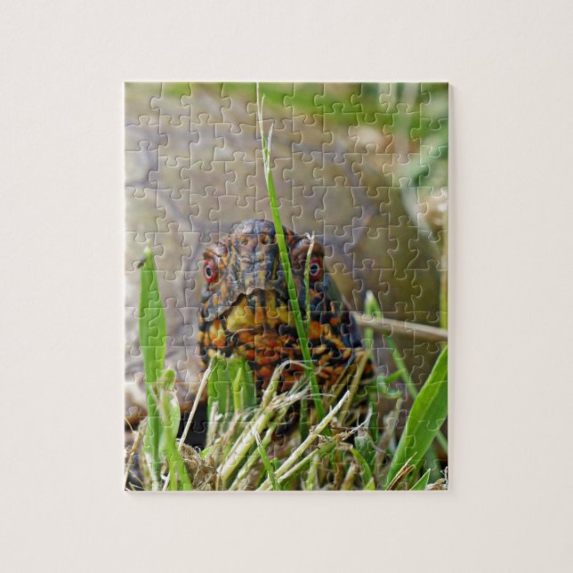 Box Turtle Jigsaw Puzzle (Vertical)