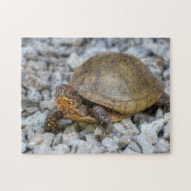Box Turtle  Jigsaw Puzzle (Horizontal)