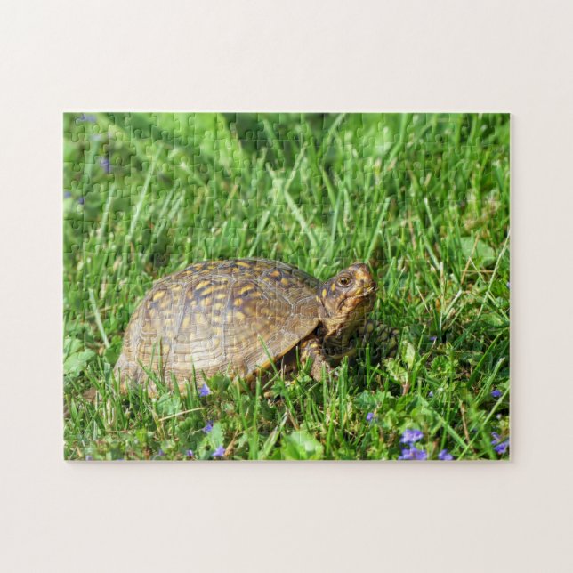 Box Turtle  Jigsaw Puzzle (Horizontal)