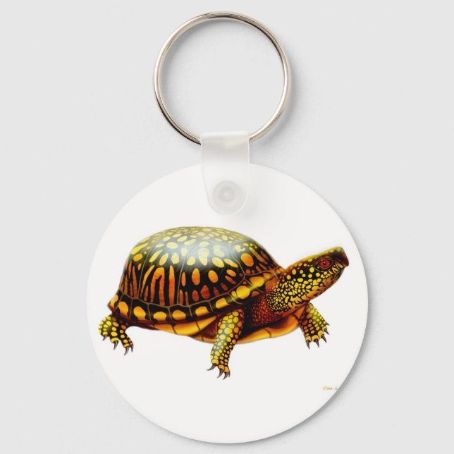 Box Turtle Keychain (Front)