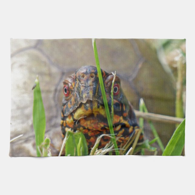 Box Turtle Kitchen Towel (Horizontal)