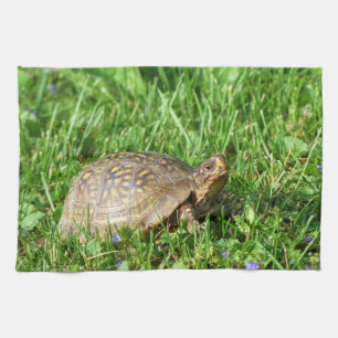 Box Turtle Kitchen Towel