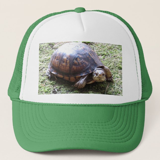 Box Turtle - Mossy Path Trucker Hat (Front)