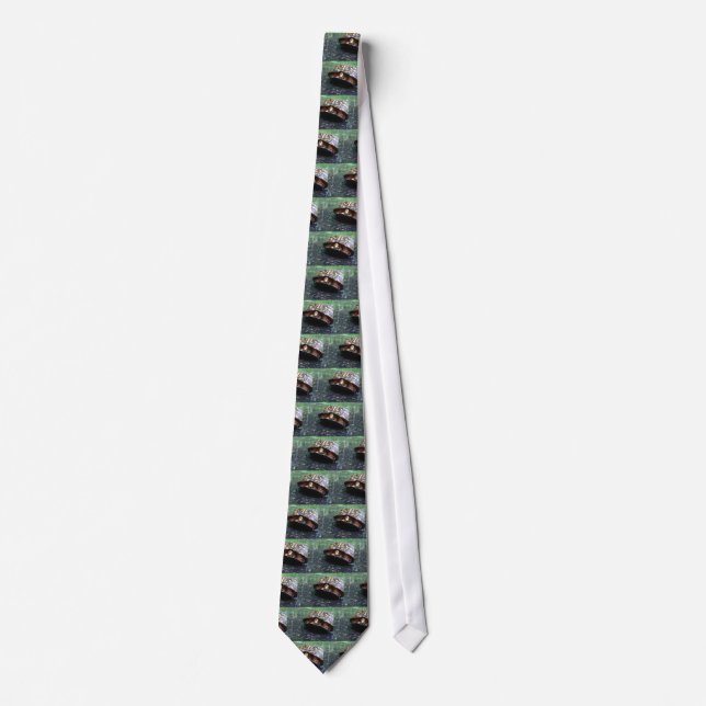 Box Turtle Neck Tie (Front)