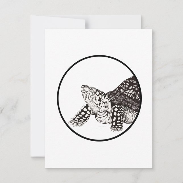 Box Turtle Note Card (Front)