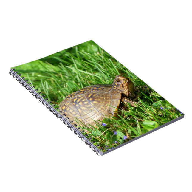 Box Turtle Notebook (Right Side)