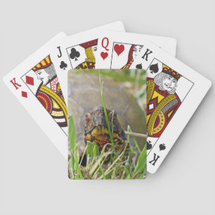 Box Turtle Poker Cards