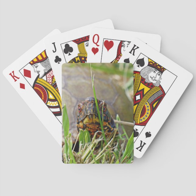 Box Turtle Poker Cards (Back)