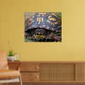 Box Turtle Poster | Zazzle