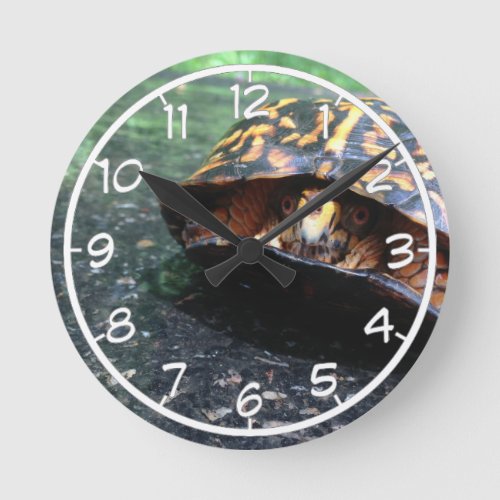 Box Turtle Round Clock