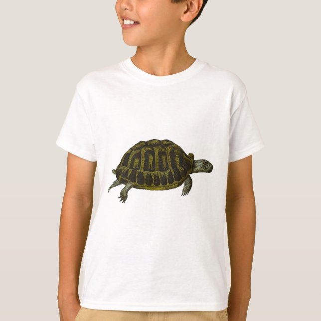 Box Turtle T-Shirt (Front)