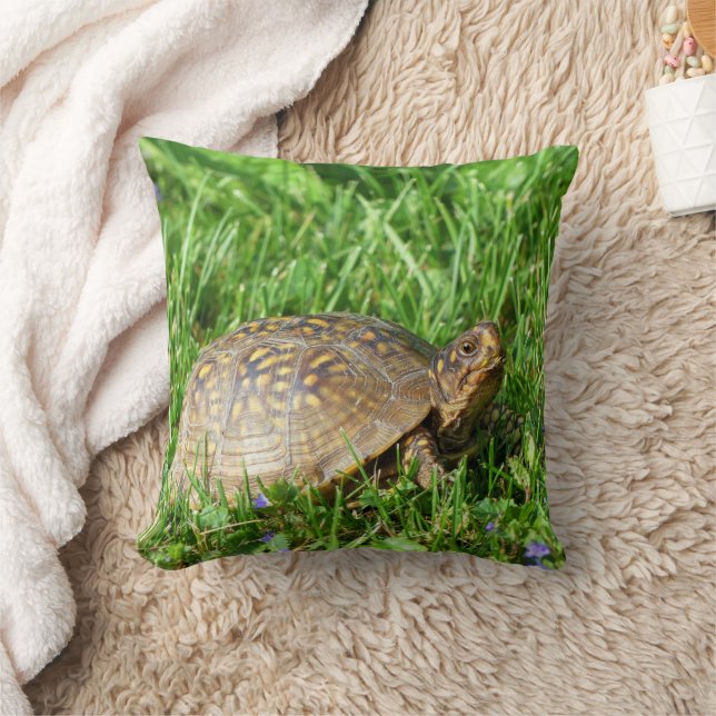 Box Turtle Throw Pillow (Blanket)