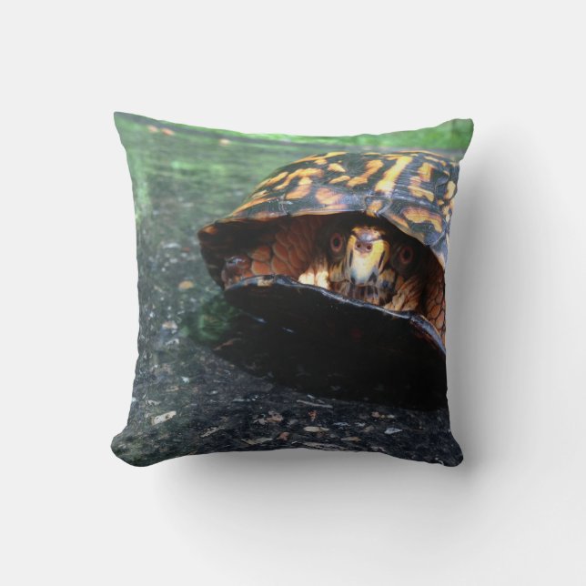 Box Turtle Throw Pillow (Front)