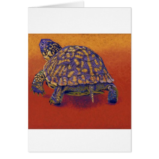 Box Turtle, tortoise Cards (Front)