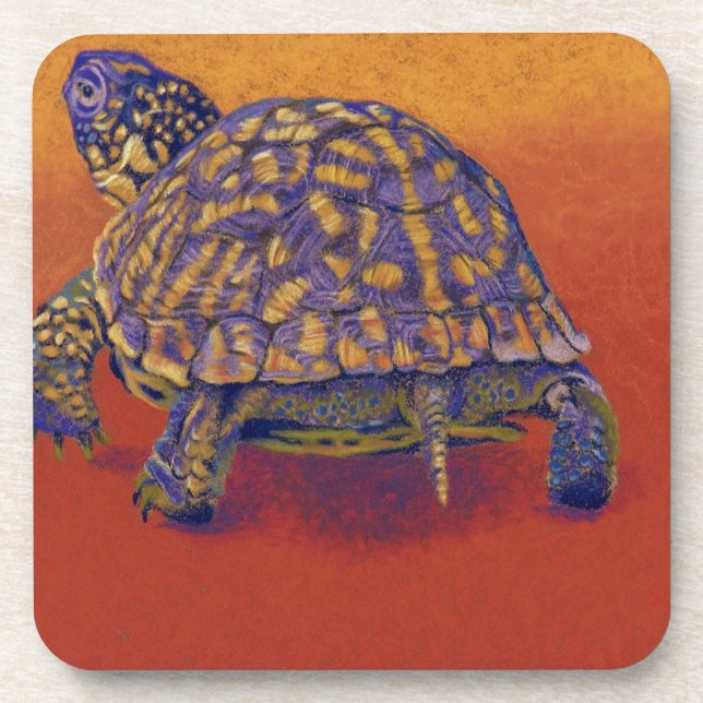 Box Turtle, tortoise Drink Coaster (Front)