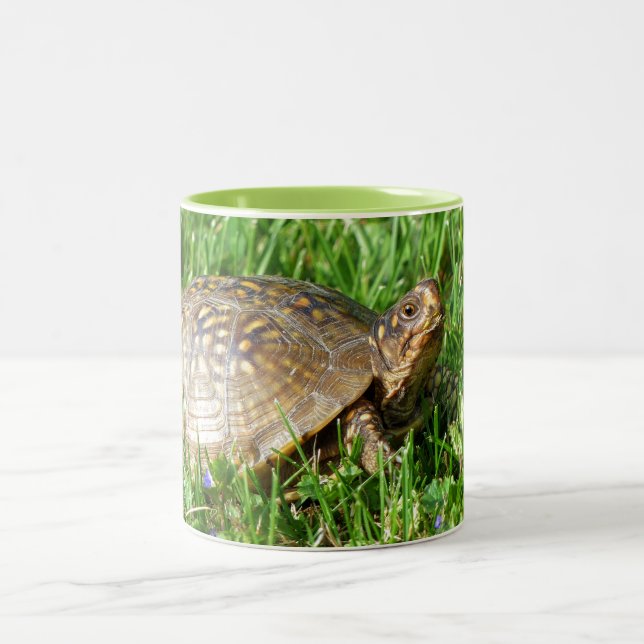 Box Turtle Two-Tone Coffee Mug (Center)