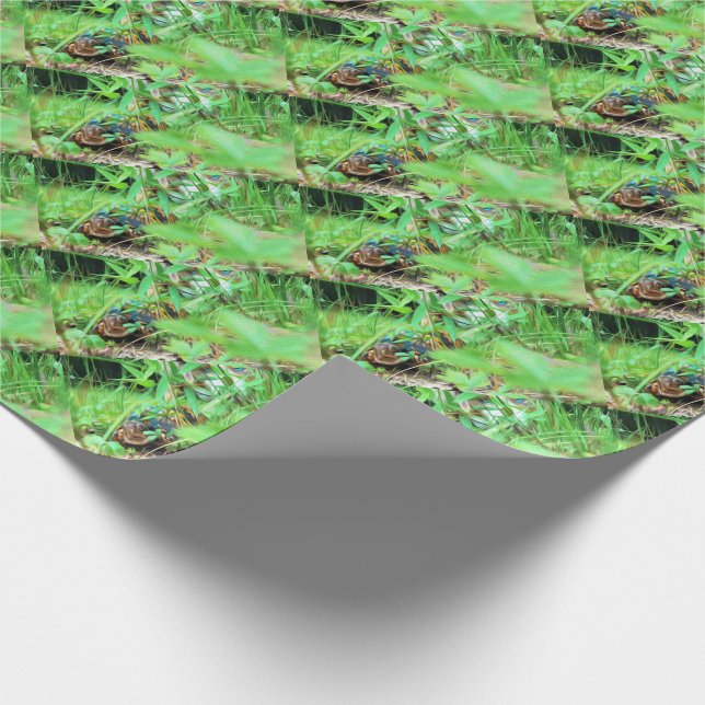 Box Turtle Wrapping Paper (Corner)