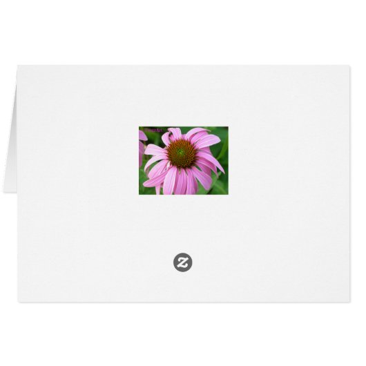 Box Turtle You Got This! Cards (Back Horizontal)