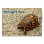 Box Turtle You Got This! Cards (Front Horizontal)