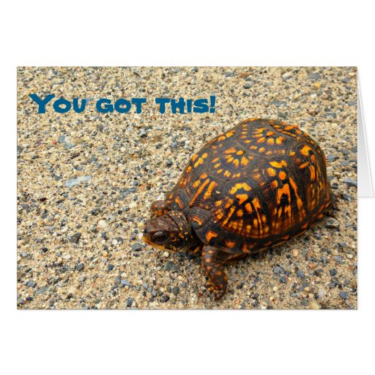 Box Turtle You Got This! Cards (Front Horizontal)