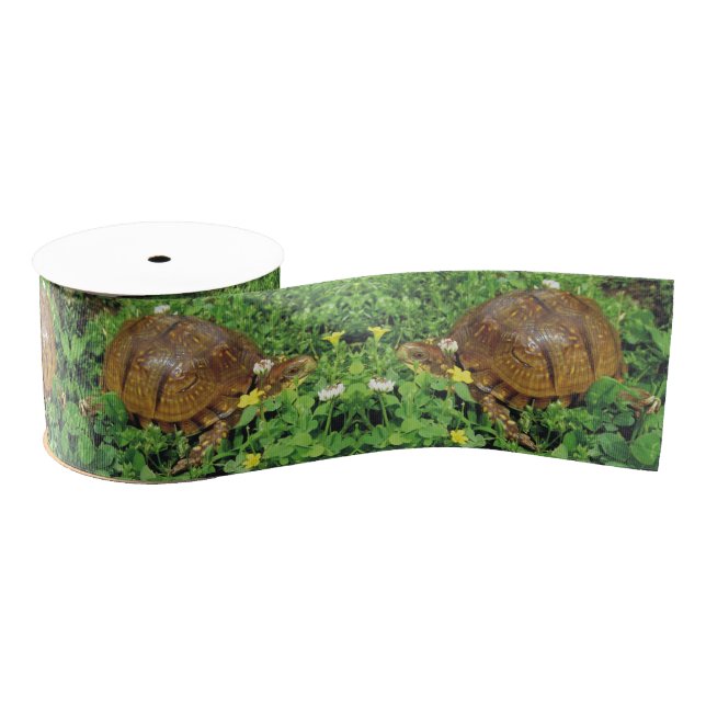 Box Turtles Summer Time Turtle Ribbon (Spool)